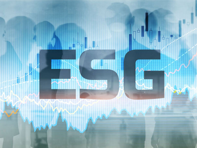 ESG數(shù)據(jù)庫(kù)