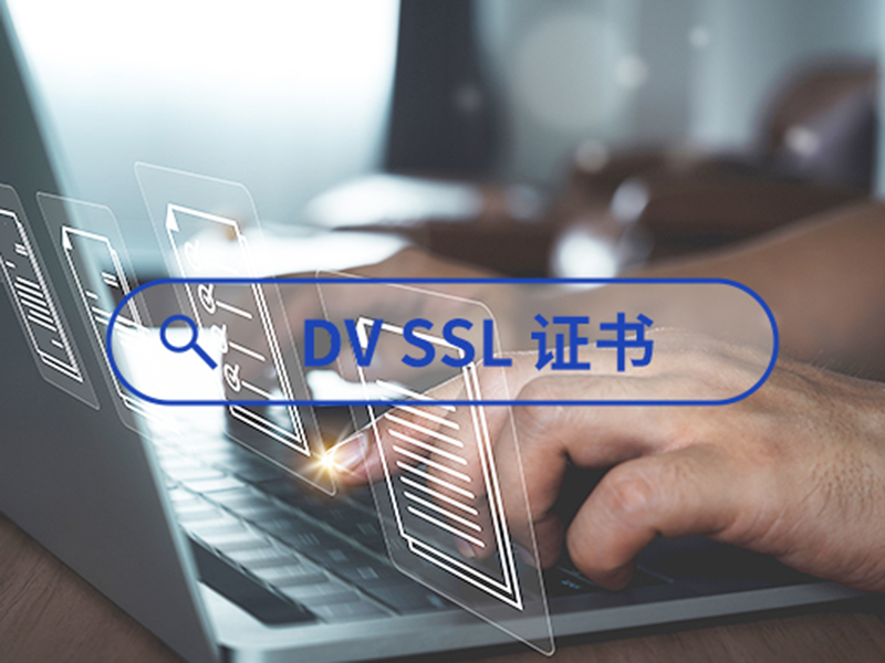 DV SSL證書