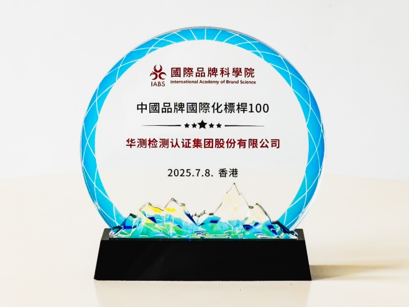 中國品牌國際化標(biāo)桿100