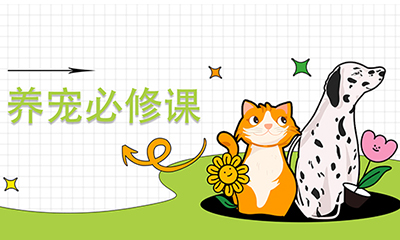 【養(yǎng)寵必修課】(第1期）▏孕期母貓的行為變化和情緒管理