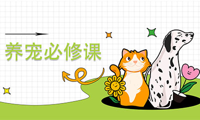 免費訂閱 | 《寵物食品行業(yè)前沿資訊》9月刊